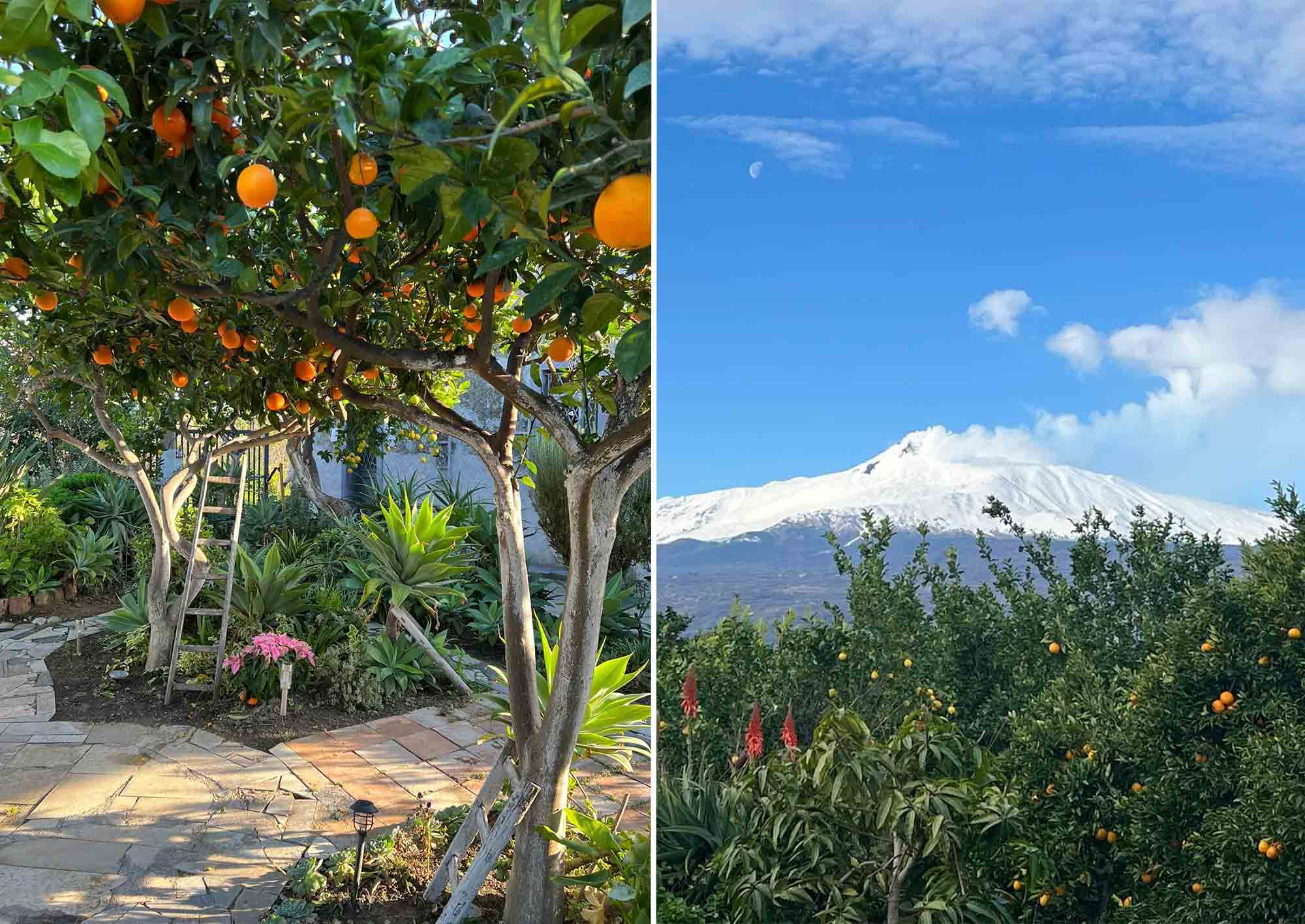Bostad på sicilien med apelsiner och vulkanen Etna