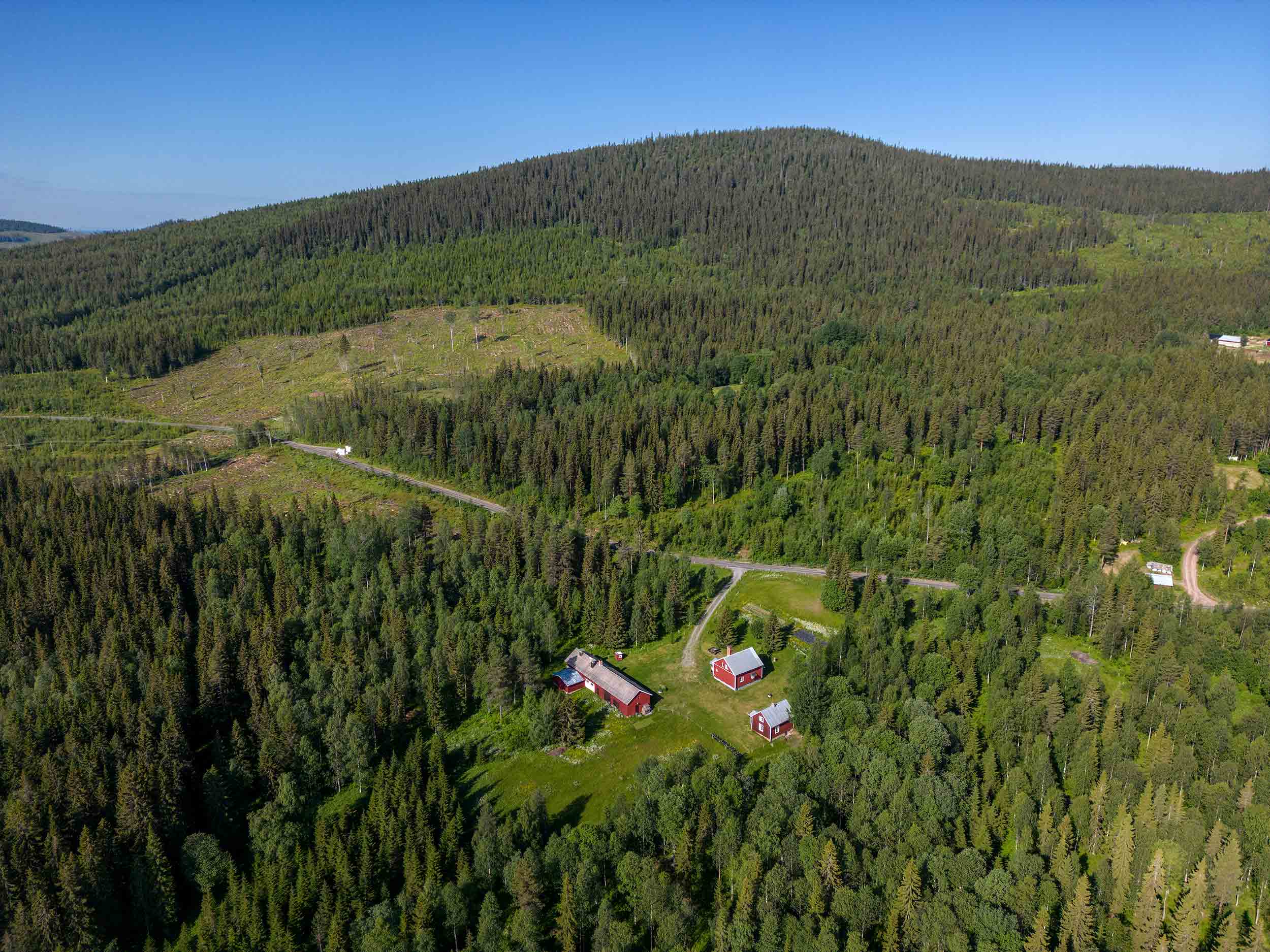 Glesbygden, tre ödehus, skog