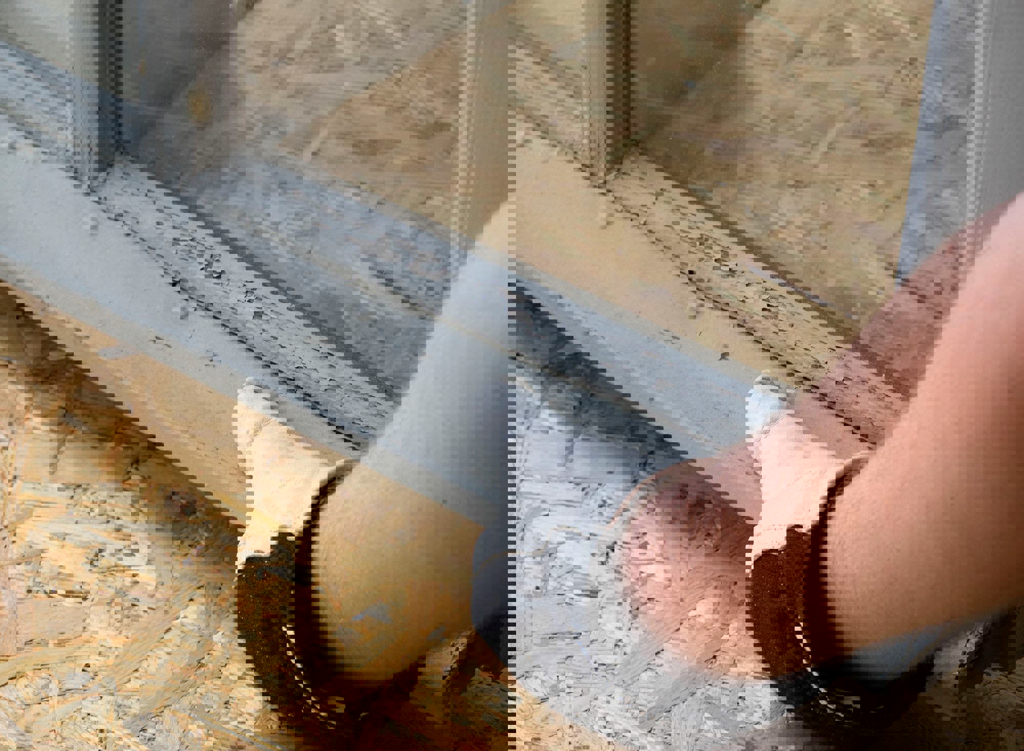 fönster som flagnat