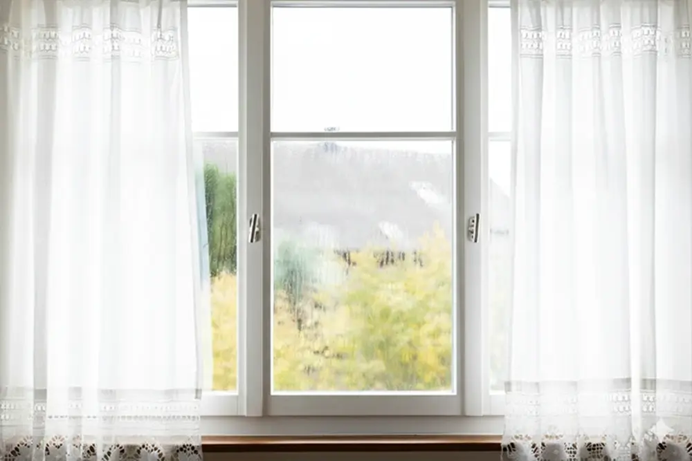 Fönster med gardiner med kondens