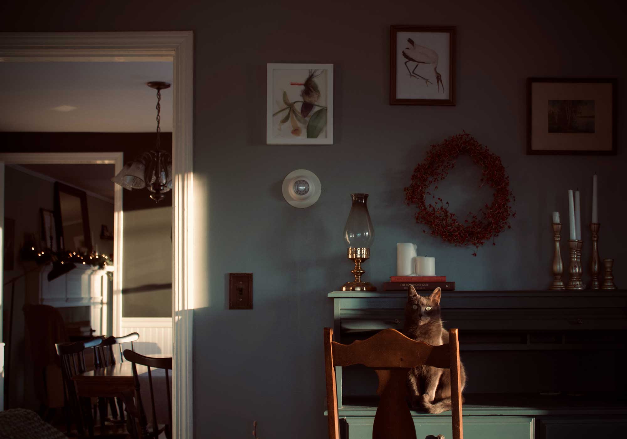 mörkt rum, inredning