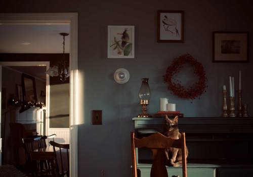 mörkt rum, inredning