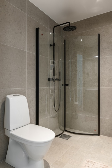 toalett, badrum med dusch