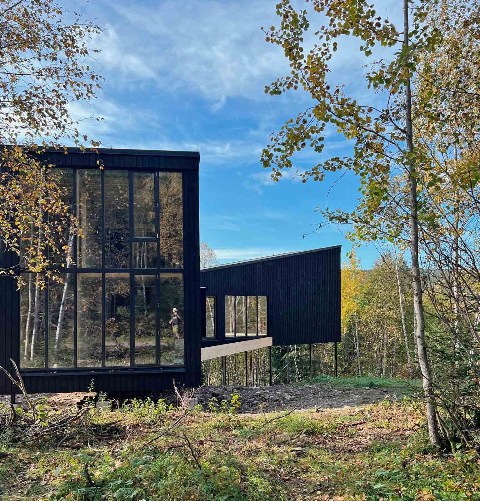 modulhus, arkitektritat, svart, skogsnära