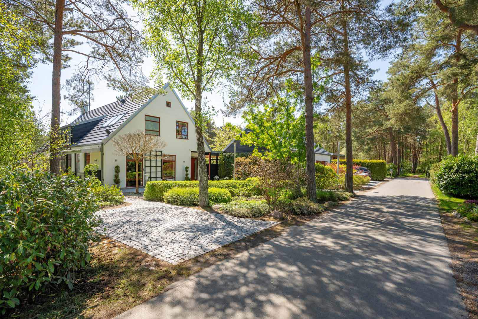 bostad invävd i skogen