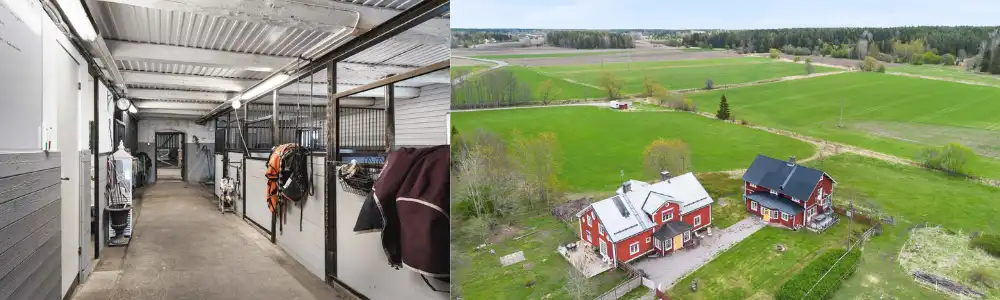 Stor hästgård