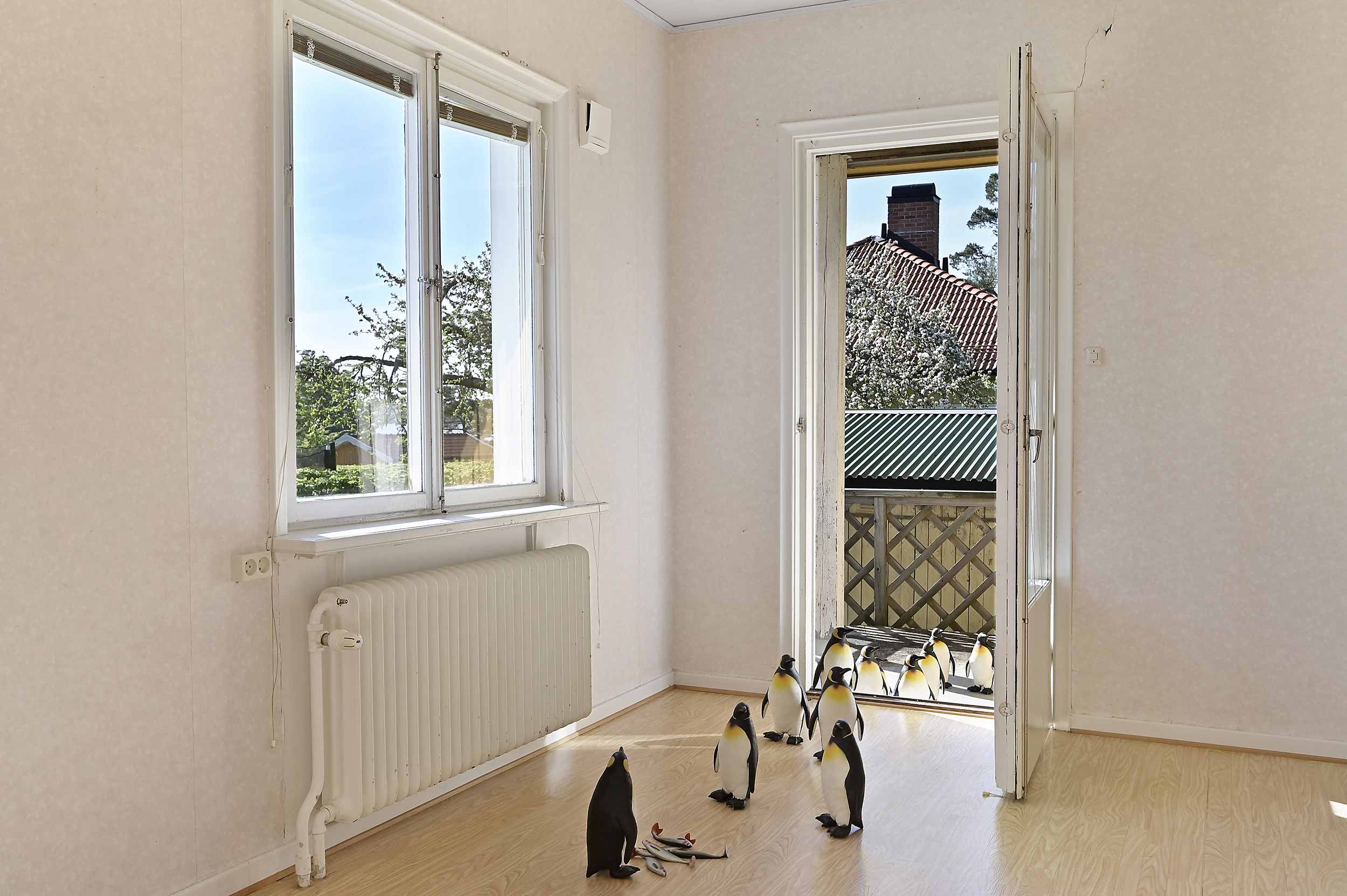 Pingviner på led i en lägenhet