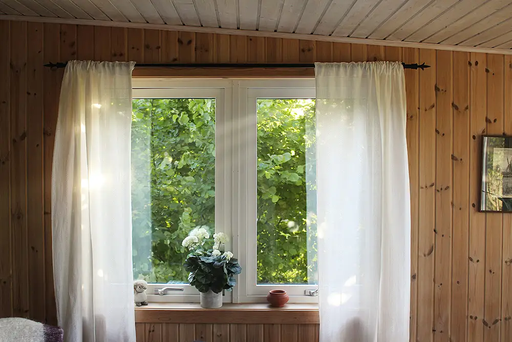 Fönster med blomma i fönstret