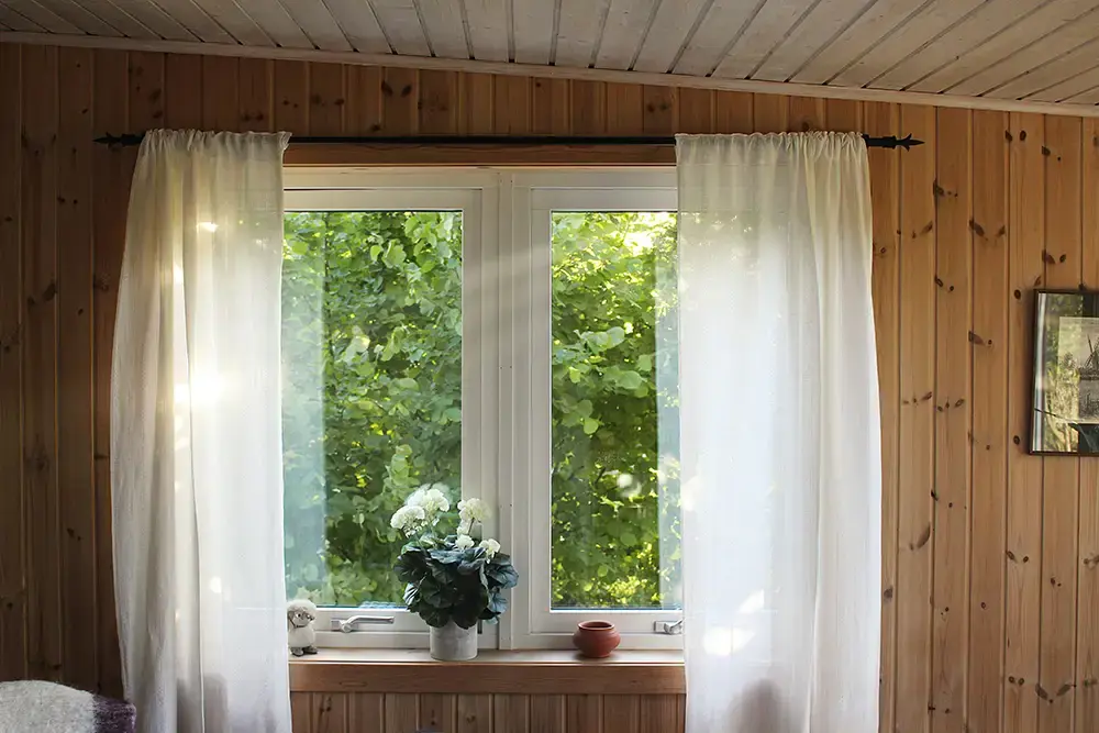 Fönster med blomma i fönstret