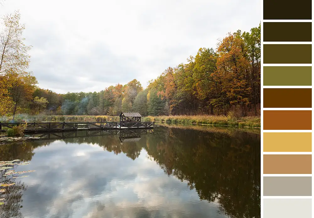 höstfärger illustrerade med färg