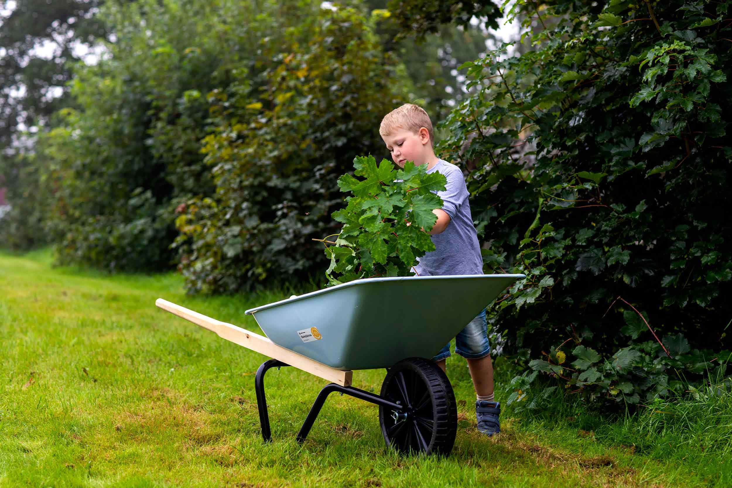 Kille som lastar på blomma i skottkärra