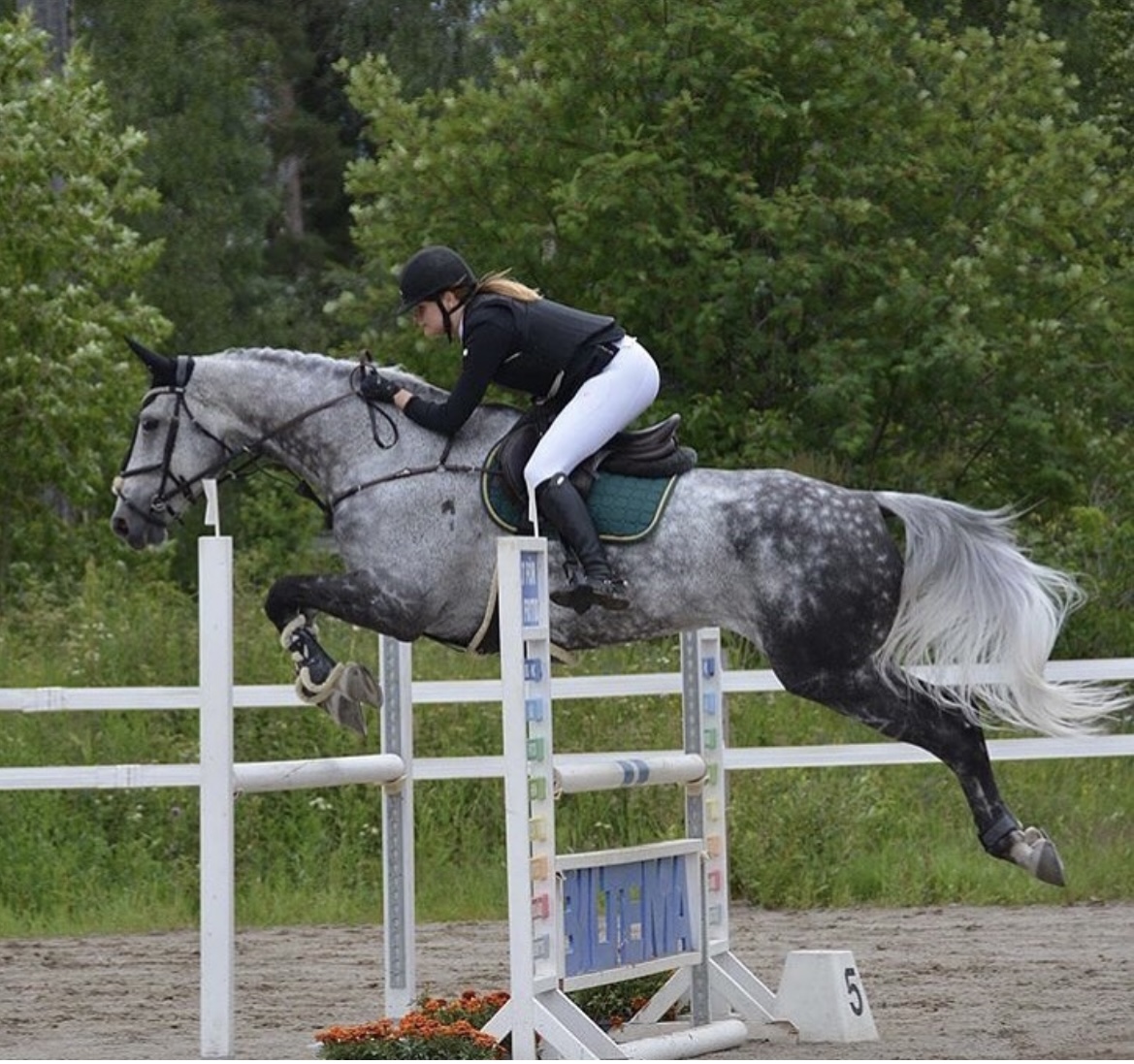 Alicia på hästryggen-hästhoppning