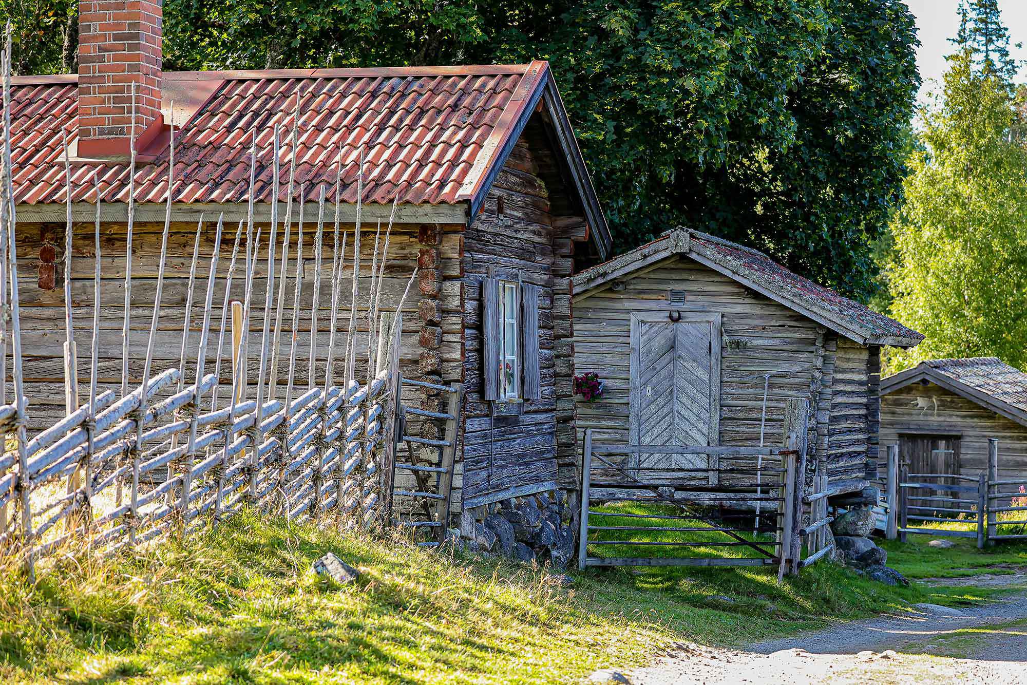 timmerhus i sverige, sommar