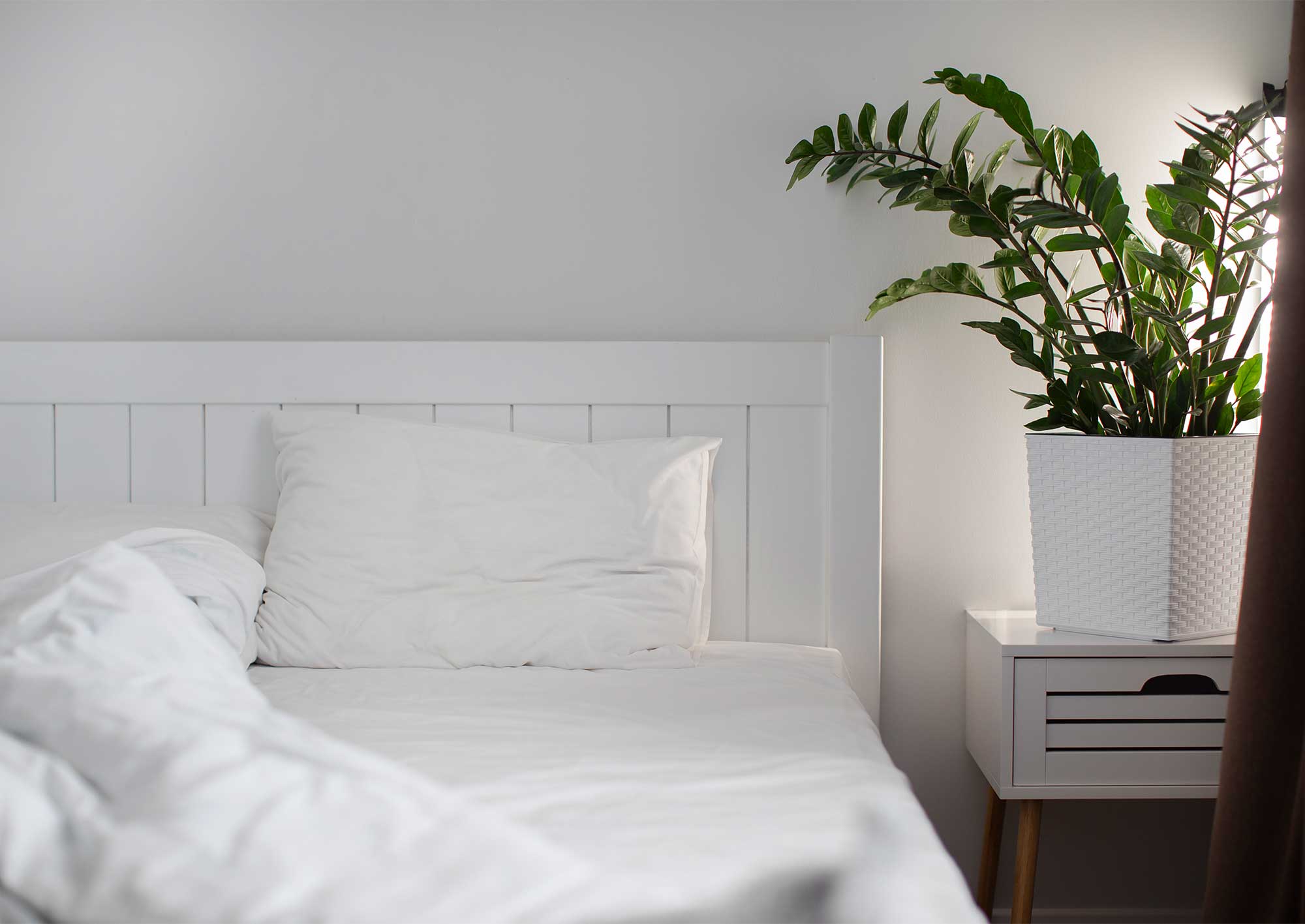 Vit säng med en stor växt bredvid