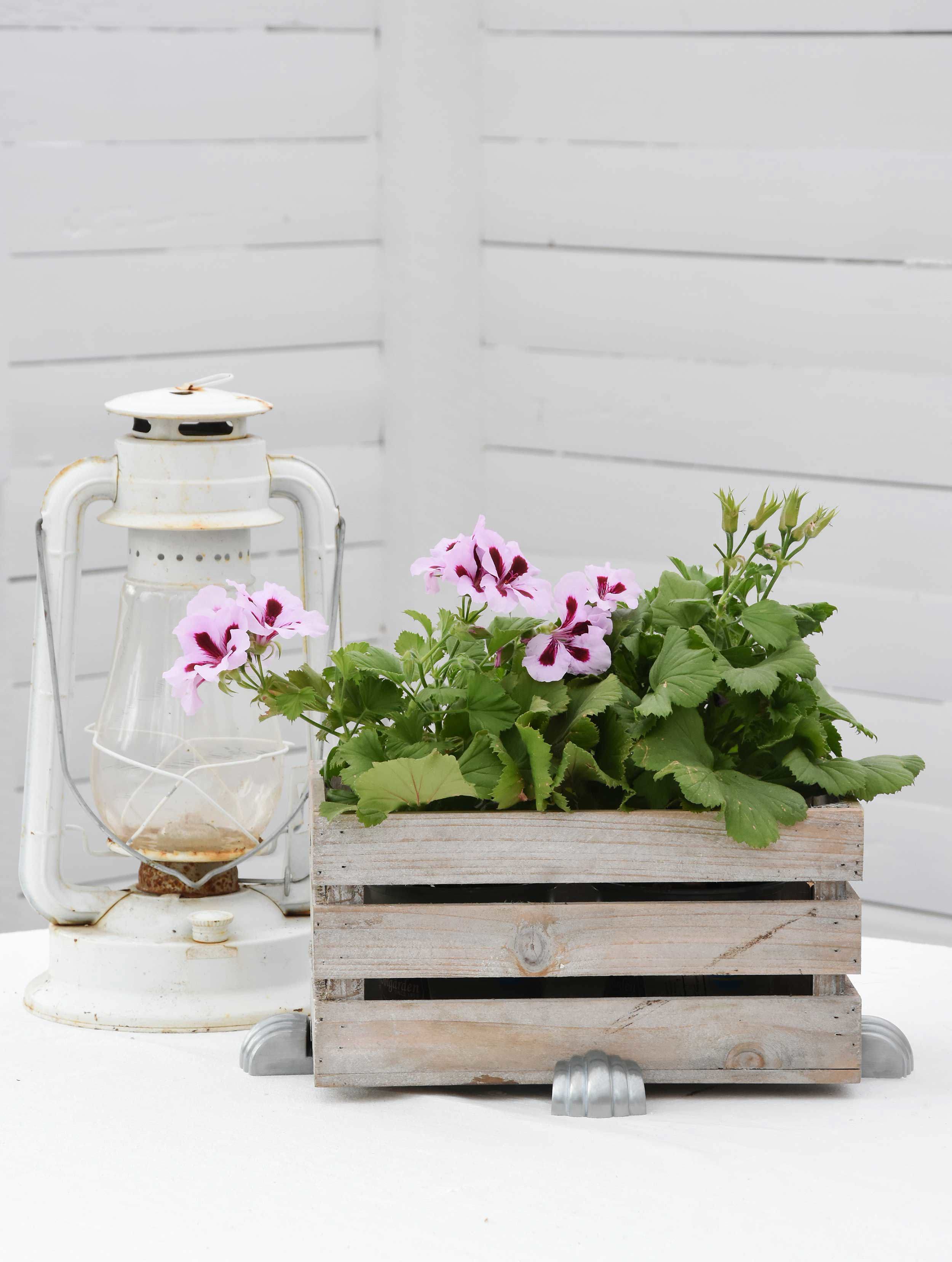 dekoration, bordsdekoration, blomma