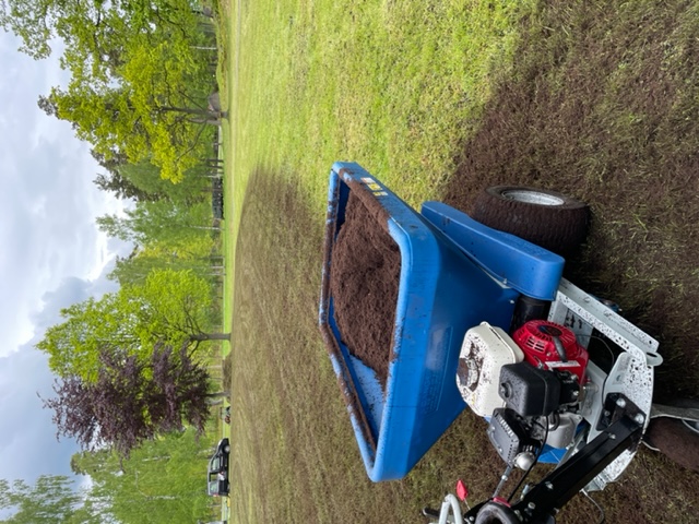 fixa gräsmattan, gödning trädgård