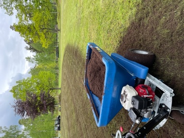 fixa gräsmattan, gödning trädgård