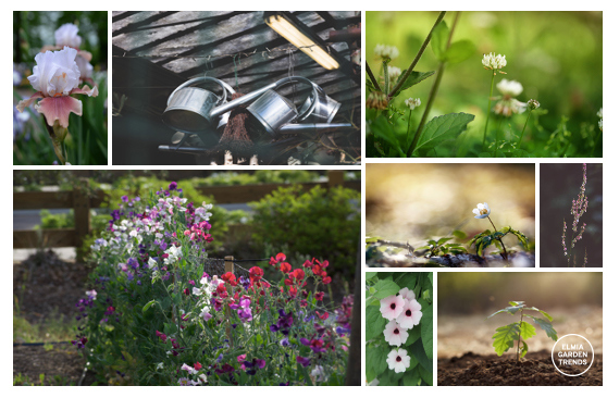 trädgård och odlling kollage