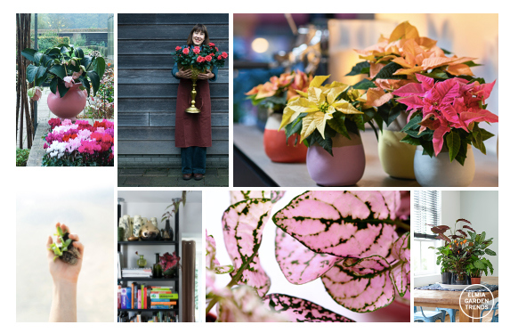 trädgård och odling kollage