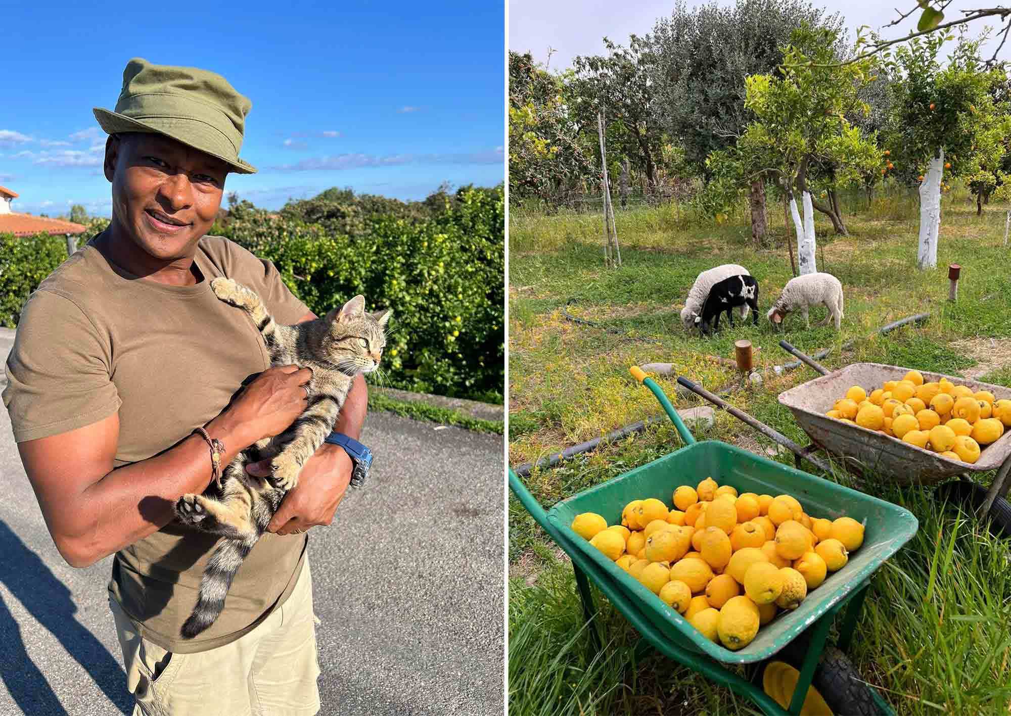 Anders med en katt och citroner