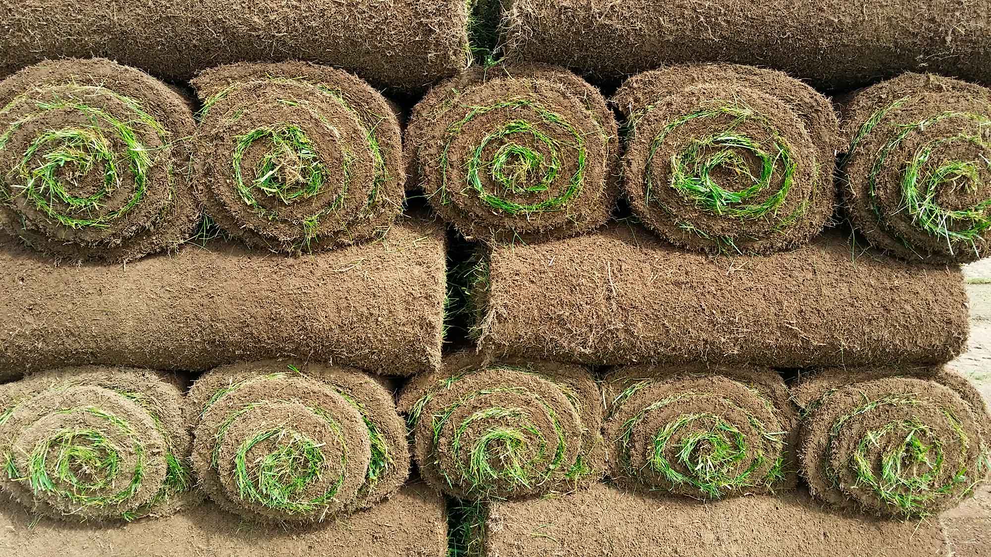 gräsmatta på rulle