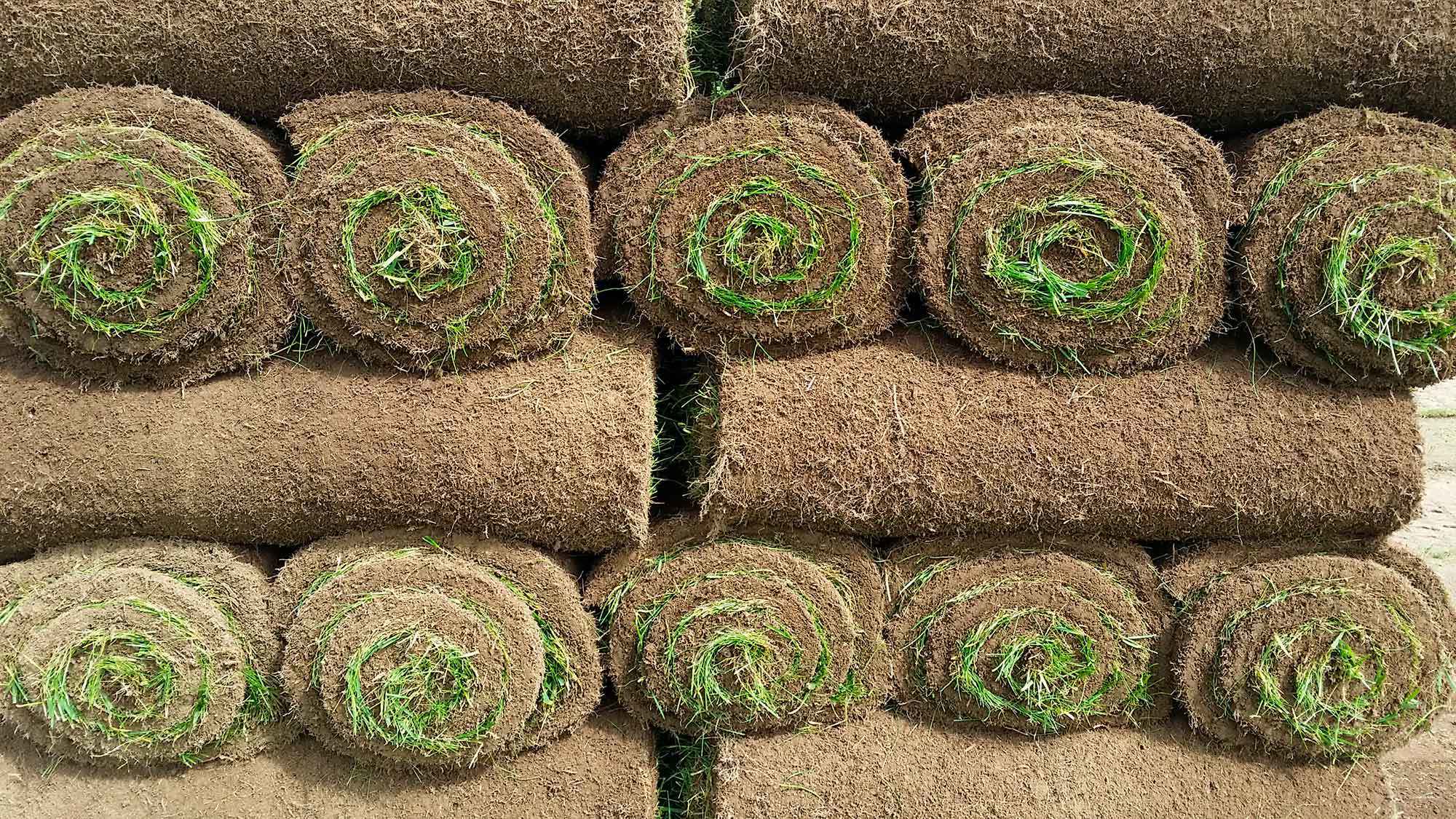 gräsmatta på rulle