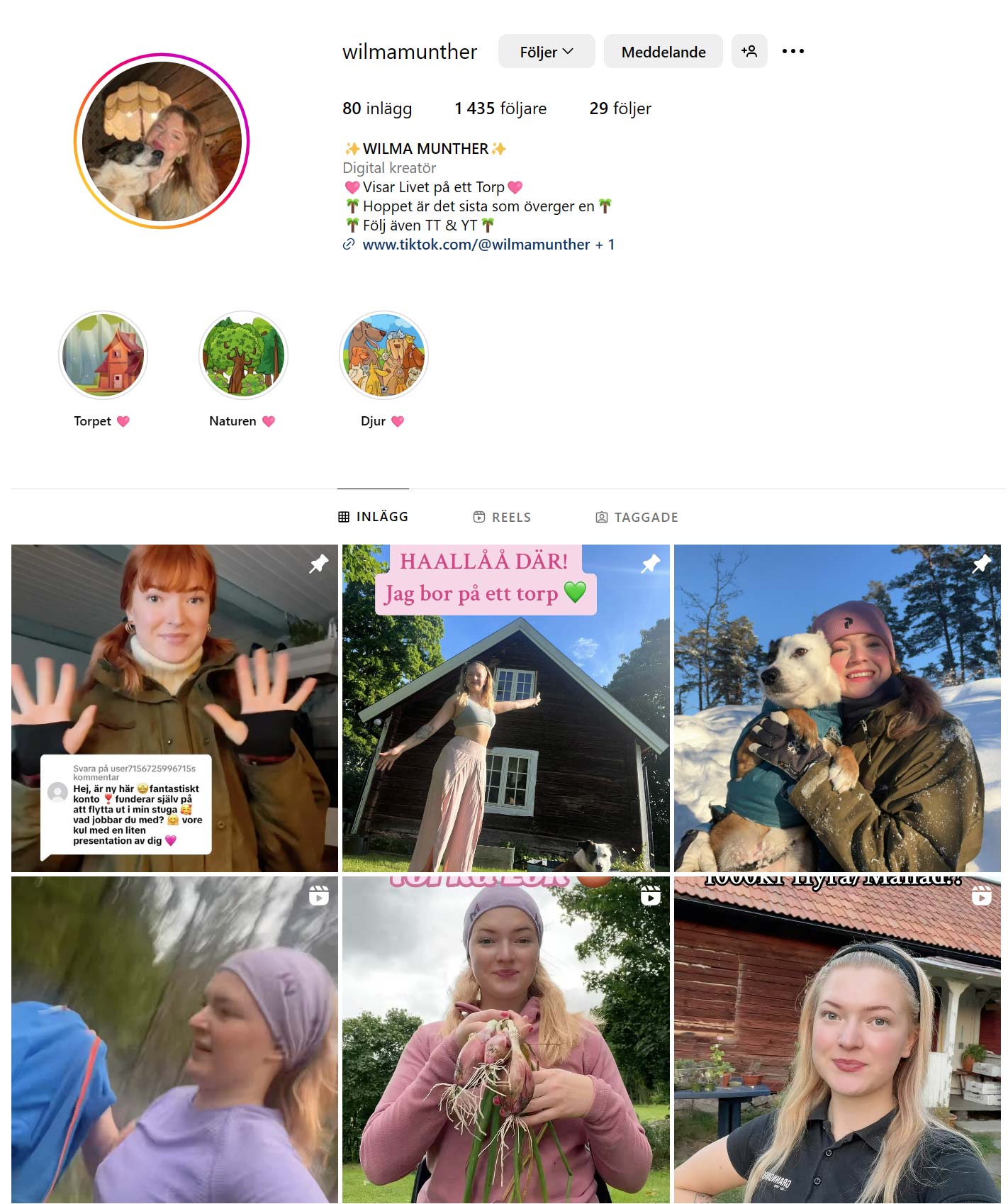 Skärmbild från Wilmas Instagramkonto