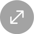 Zoom icon