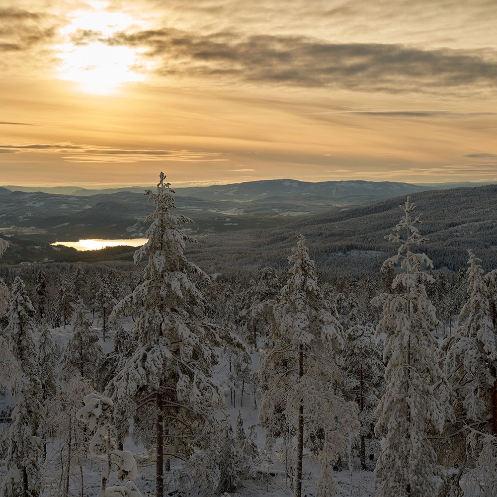 fjället i solnedgång
