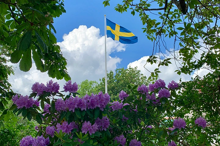 Svensk flagga i trädgård