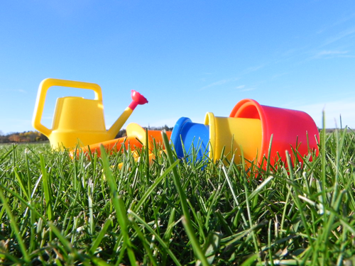 leksaker på en gräsmatta