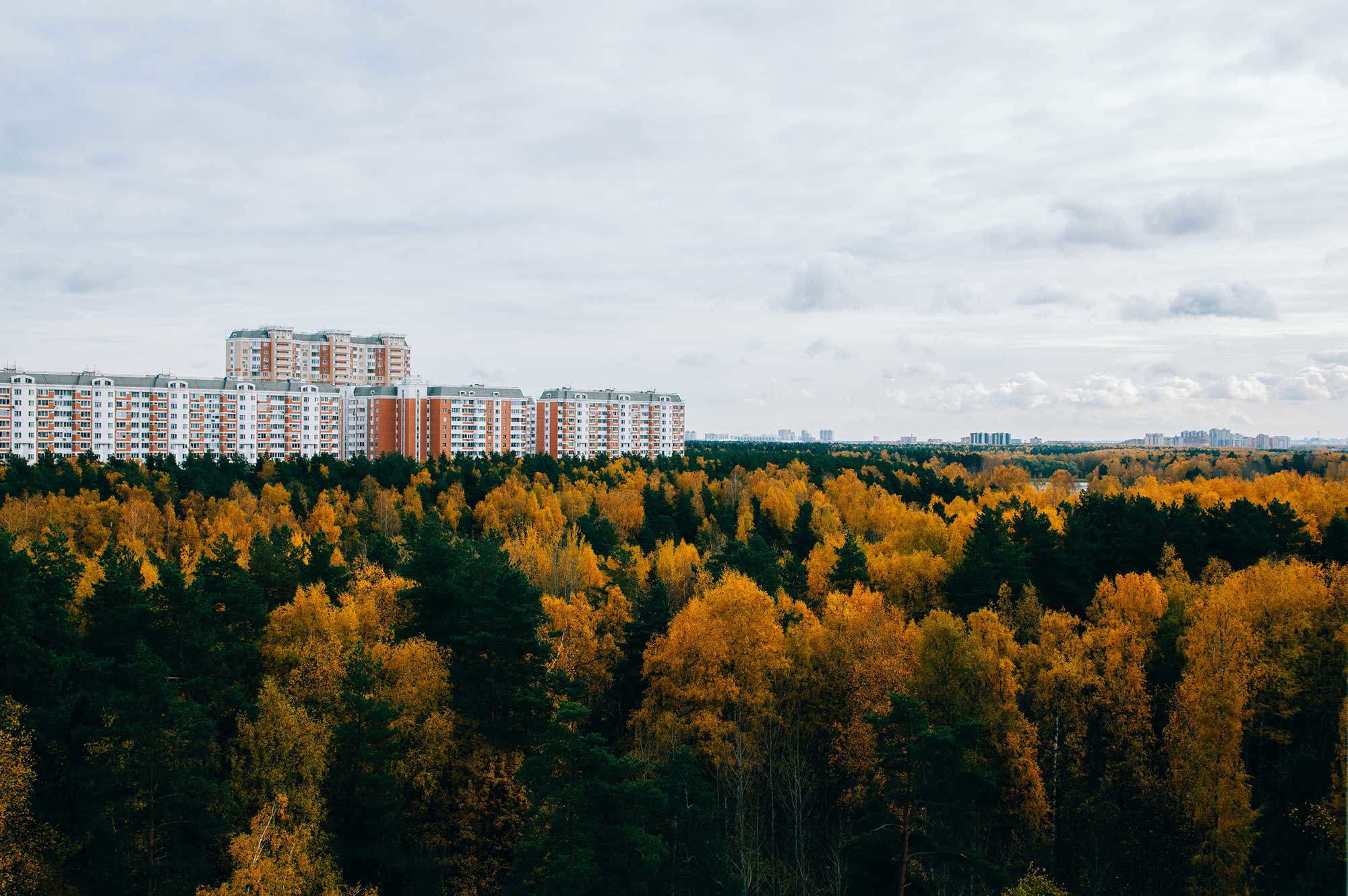 bostadsrättsföreningar, bostadshus