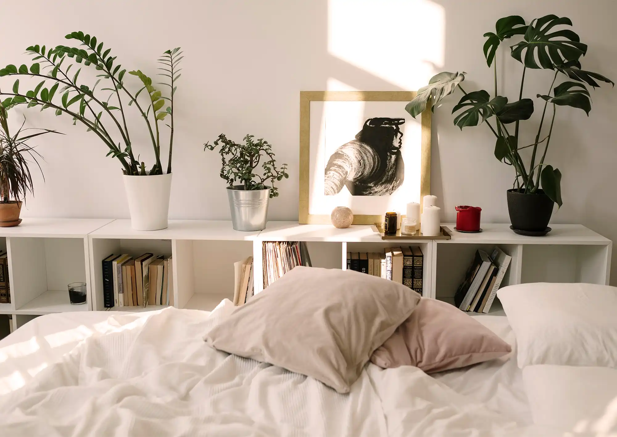 Sovrum med inomhusväxter