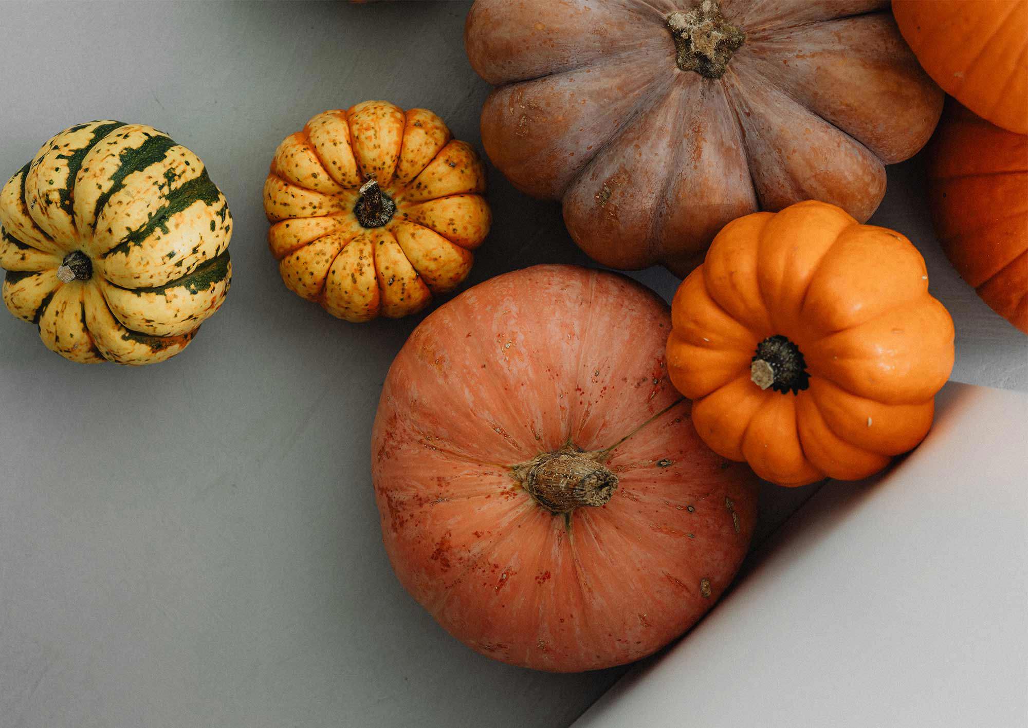 Olika sorters pumpor