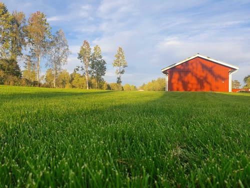 gräsmatta, röd stuga, äng