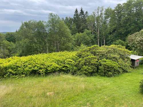 parkslide i trädgård