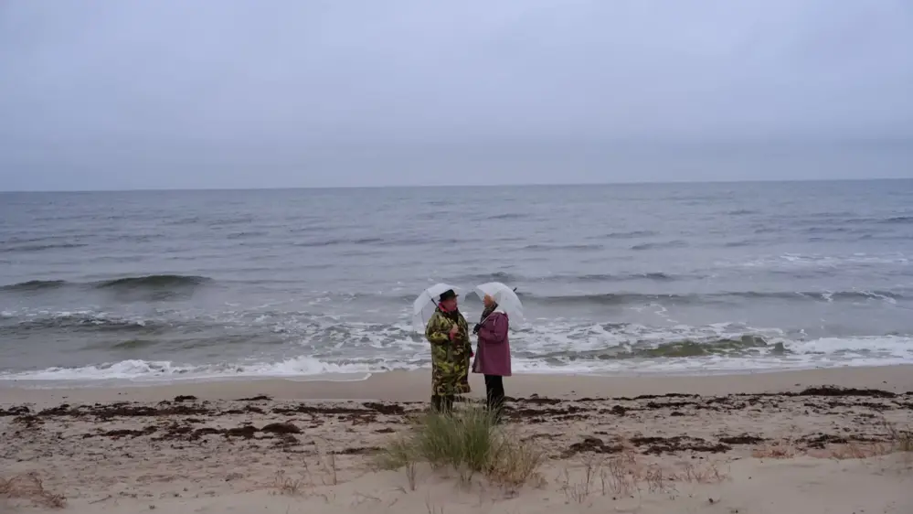 Husdro_mmar-Foto-SVT